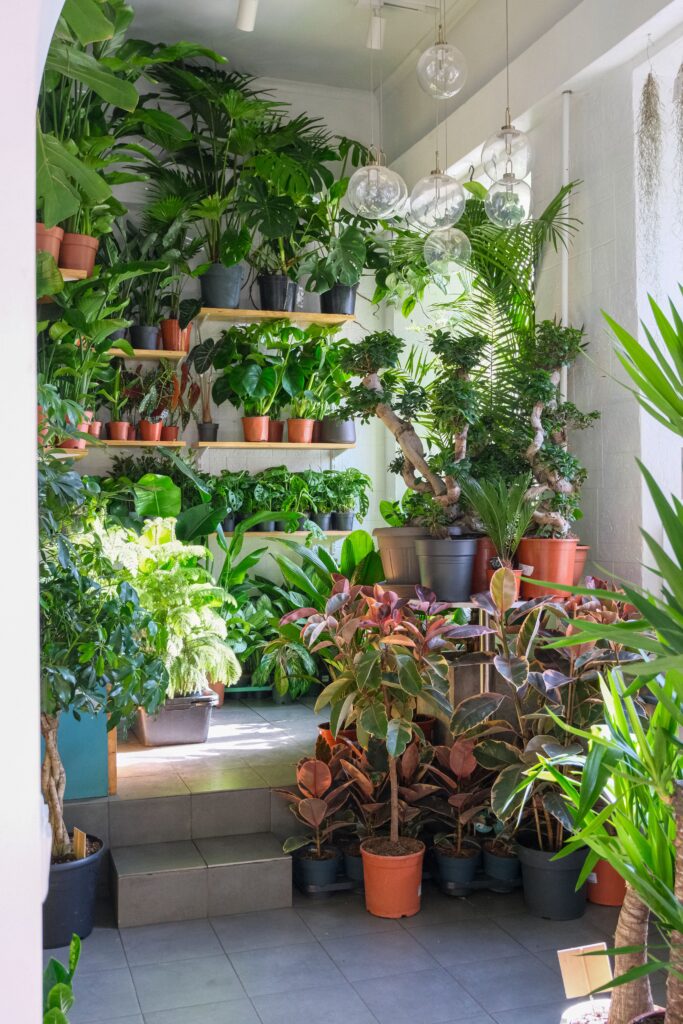 Home Garden Ideas