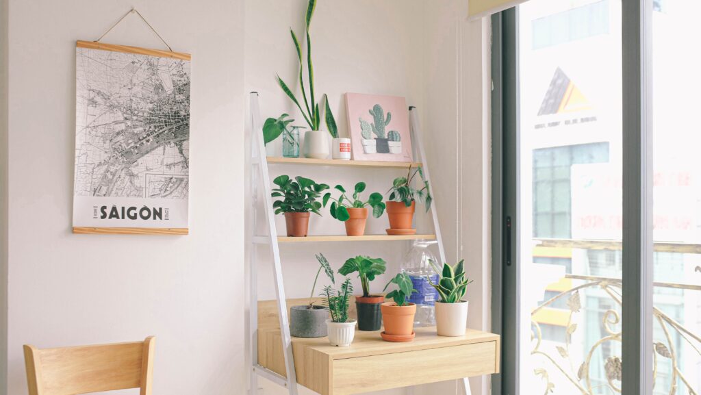 Indoor Garden Ideas